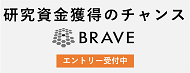 BRAVE 2017 Winter